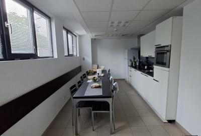 Hala 800 mp+200 mp birouri-regim termic controlat + curte - 8