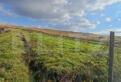 Teren de 7800 mp, în Central - 1