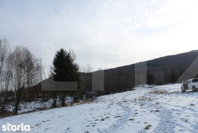 Teren de 11600 mp, în Central