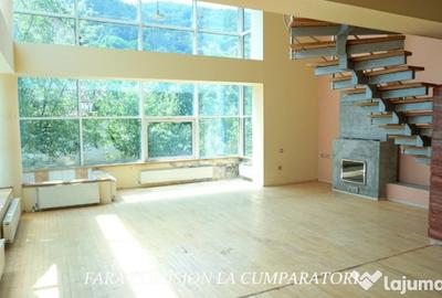 Casă cu 7 camere cu Teren 1000 Mp în Căciulata - 13