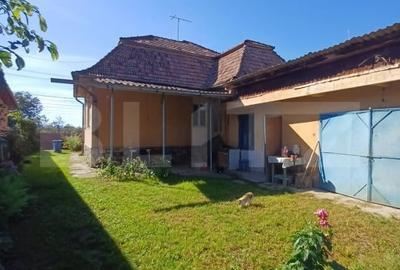 Casa renovabila, 3 camere, 1400 mp teren, in Mihai Viteazu - 17