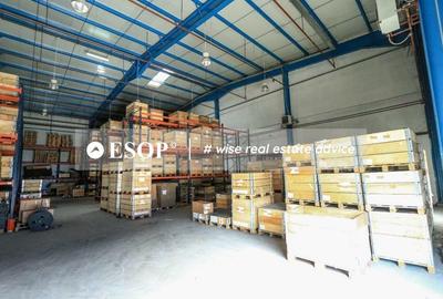 Hala de vanzare Dudesti-Pantelimon Hala de vanzare Dudesti-Pantelimon - 14