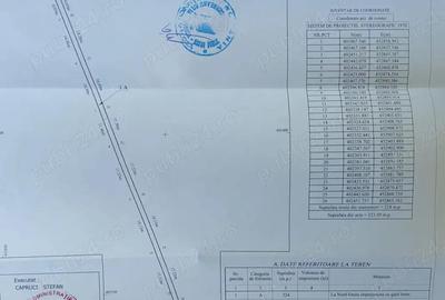 Casă cu 3 camere cu Teren 1800 Mp în Golești - 6