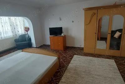 Banca Nationala - garsoniera conf 1 - centrala balcon etaj 1 mobilata utilata - 9