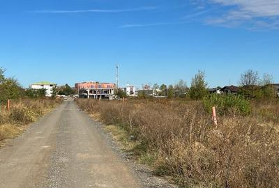 Pantelimon -Lebada, str. Băile Felix, teren intravilan 7500 mp - 4