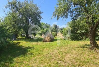 Teren în Corbeni - 9