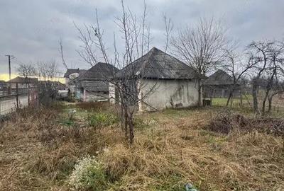 Casa 60 mp, teren 7 ari, baie renovata, Bozanta Mica - 3