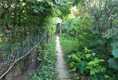 Casă individuală cu 8 camere cu Teren 744 Mp în Ilidia - 21