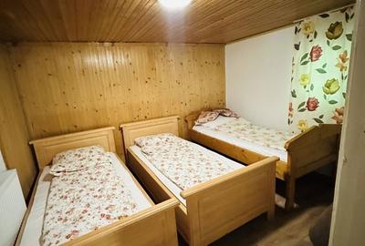 Casă cu 4 camere cu Teren 3000 Mp în Strungari - 14