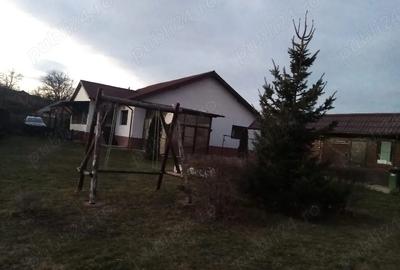 Casă cu Teren 1989 Mp în Ciritei - 1