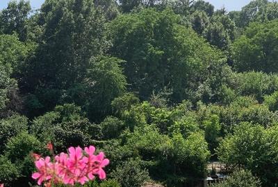 Apartament cu 3 camere decomandat, mobilat în Central - 12