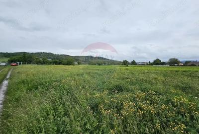 Teren de 1495 mp, în Dobreni - 2