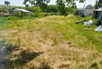 Teren de 2300 mp, în Borșa - 1