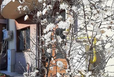 PROPRIETAR vand ap 2 cam, et 2 in vila. Parcare. Bacau - 5