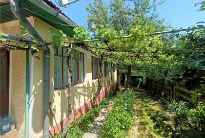 Casă cu 4 camere cu Teren 2200 Mp în Pianu - 10