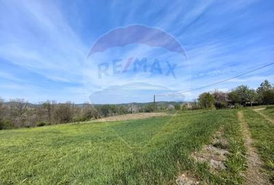 Teren Construcții intravilan de 3000 mp, în Copalnic-Mănăștur - 5