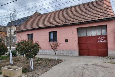 Casă cu 4 camere cu Teren 500 Mp în Central - 3