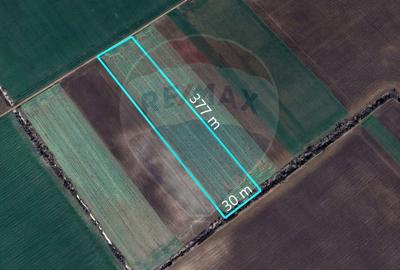 Teren agricol extravilan de 11295 mp, în Afumați