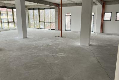 Spatiu Comercial-Birouri, 300mp, Et. 1, Cal. Torontalului - Bulevard! - 9