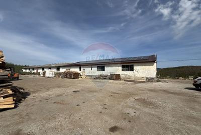 Hala-depozit de vanzare-800 mp-Sic- Investitie - 2