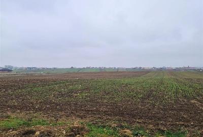 Teren intravilan de 515 mp, în Cihei - 4