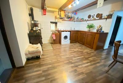 Casa de vacanta in Baiut - 3