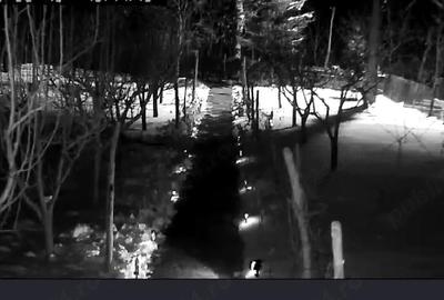 Casă cu 3 camere cu Teren 1650 Mp în Racovițeni - 8