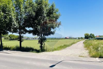 Teren intravilan 10.000 mp in Stupini, Brasov - 2