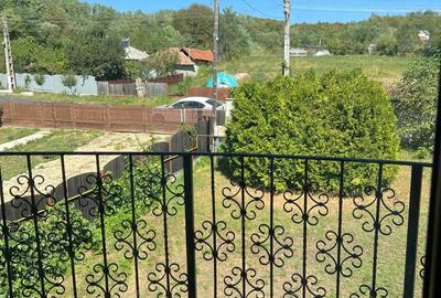 Casă cu 5 camere cu Teren 1800 Mp în Valea Sălciilor - 12