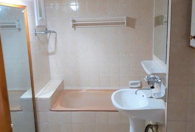 Inchiriez apartament cu 1 camera, et. 1, pe malul Timisului, in zona OMV, Kaufland, Dedeman. - 3