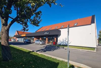 Spațiu comercial, de 79 mp, în Moșnița Veche - 6