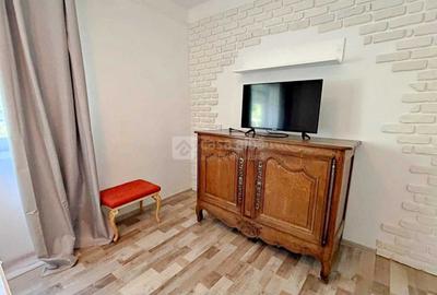 Apartament cu 2 camere semidecomandat, mobilat în Podu Roș - 11