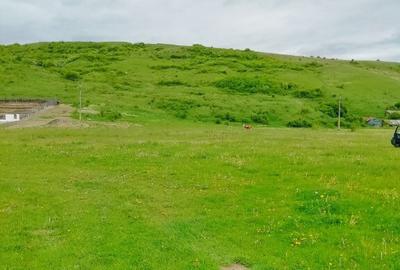 Teren intravilan P.Neamt - 6