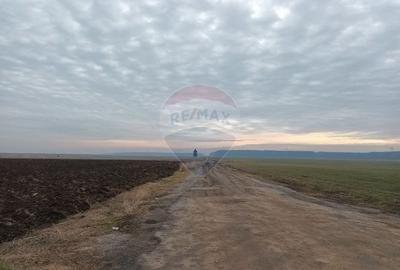 Vanzare teren intravilan parcelat, in Branesti langa - Autostrada A2 - 12