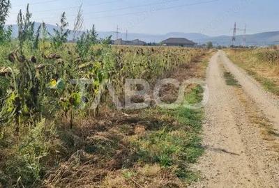 Teren intravilan de vanzare in Sebes drumul Petrestiului - 2