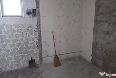 Casă cu 2 camere cu Teren 804 Mp în Gojdu - 11