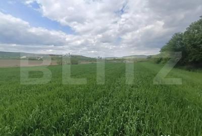 Teren de 52600 mp, în Unirea - 1