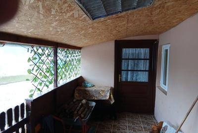 Casă cu 2 camere în Adunați - 2