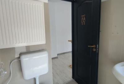 ? Casă de închiriat - 210 mp + curte 100 mp - Zona Buzești, Victoriei - 17