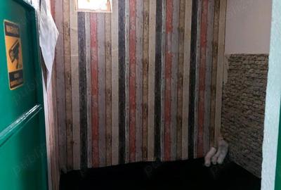 Spațiu comercial, de 70 mp, în Pictor Rosenthal - 10