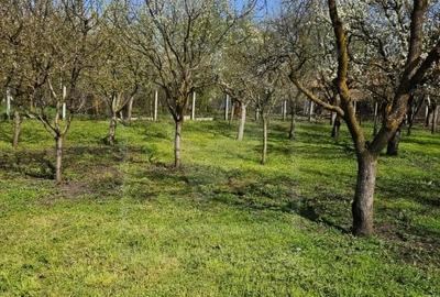 Casa de vanzare, teren 1700 mp, Ceanu Mic, judetul Cluj - 2