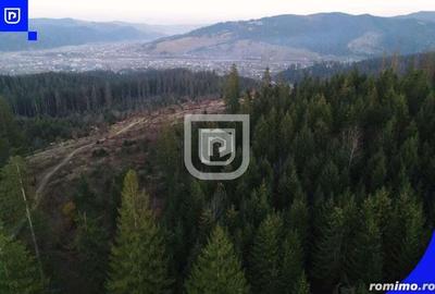 Teren situat in Frasin | BUCOVINA - 4