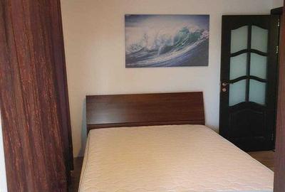 Apartament cu 2 camere decomandat, mobilat în Valea Lupului - 4