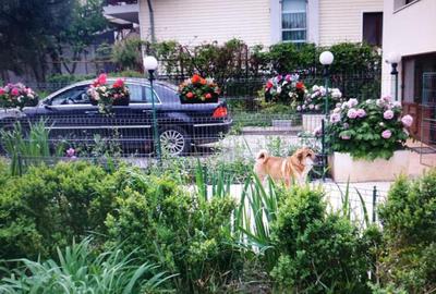 VILA INDIVIDUALA SAFTICA - 1