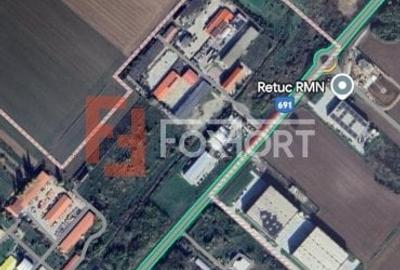 Teren intravilan industrial 12.000 mp - Dumbravita - 2