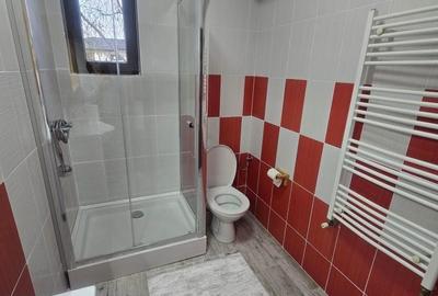 Apartament cu 2 camere semidecomandat în Fundeni - 6