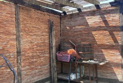 Casă cu 4 camere în Lipova - 2