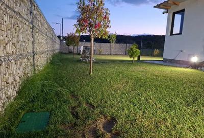 Casă cu 4 camere cu Teren 500 Mp în Trivale - 1