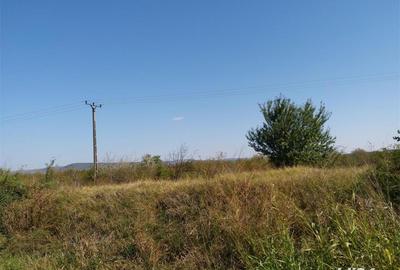 Teren de 15000 mp, în Vernești - 2