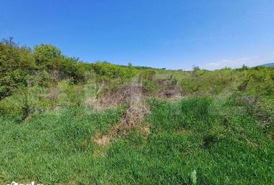 Teren de 6200 mp, în Viișoara - 1